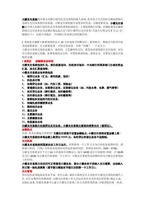 大小额支付系统
