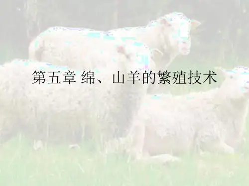 第五章 绵、山羊的繁殖技术
