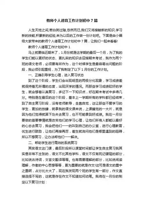 教师个人德育工作计划初中7篇