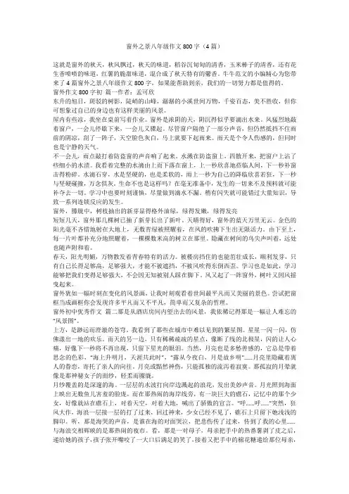 窗外之景八年级作文800字(4篇)