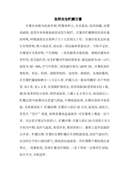 怎样安全贮藏甘薯