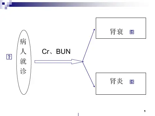 肾病科常见疾病诊断思路ppt演示课件