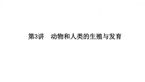 高中生物中考生物复习：动物和人类的生殖与发育ppt 济南版