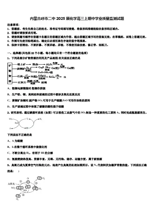 内蒙古呼市二中2025届化学高三上期中学业质量监测试题含解析