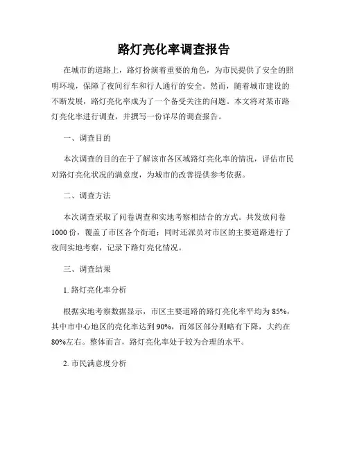 路灯亮化率调查报告