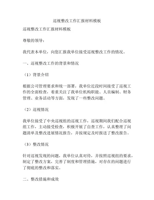 巡视整改工作汇报材料模板