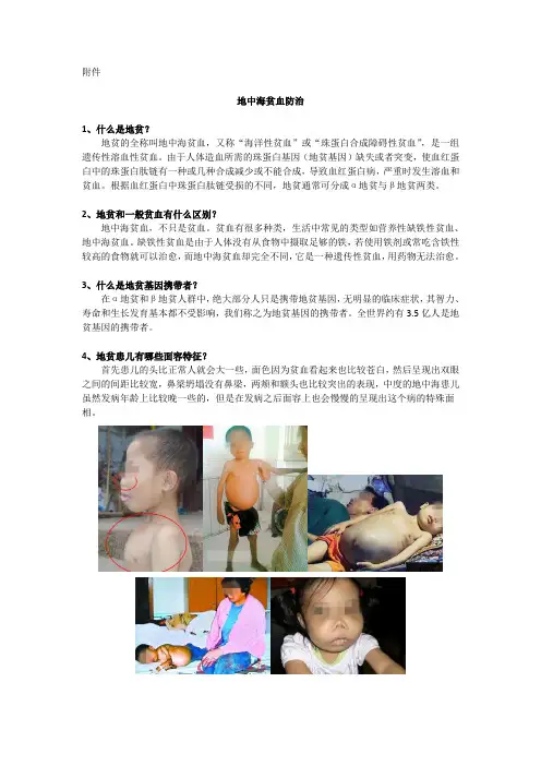 地中海贫血防治