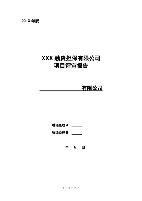 融资担保公司担保项目评审报告模板