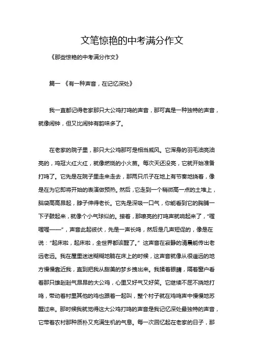 文笔惊艳的中考满分作文