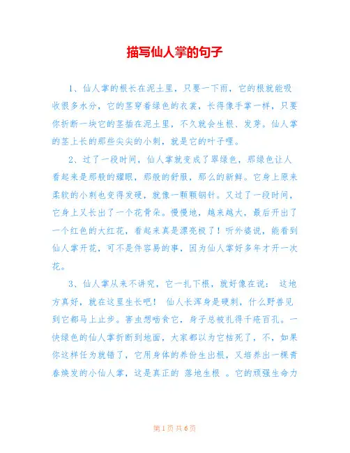 描写仙人掌的句子