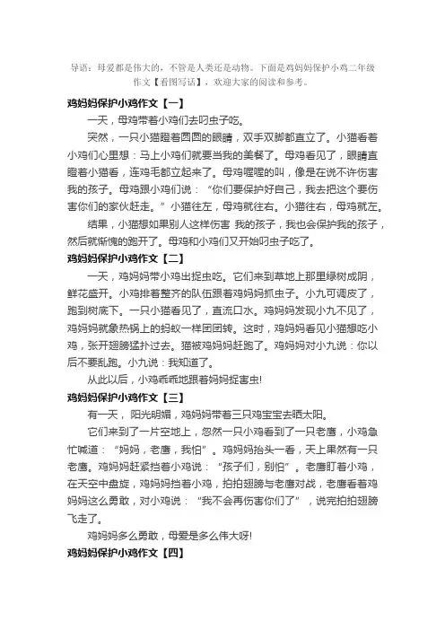 鸡妈妈保护小鸡二年级作文【看图写话】