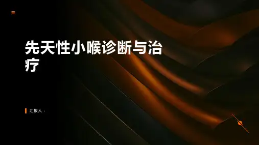 先天性小喉诊断与治疗PPT