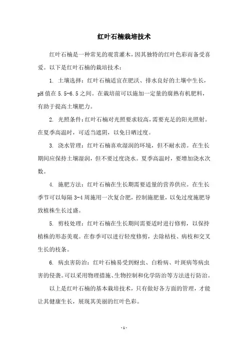 红叶石楠栽培技术