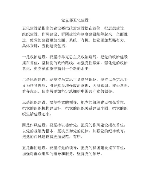 党支部五化建设
