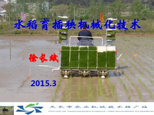 2015年机插秧培训课件