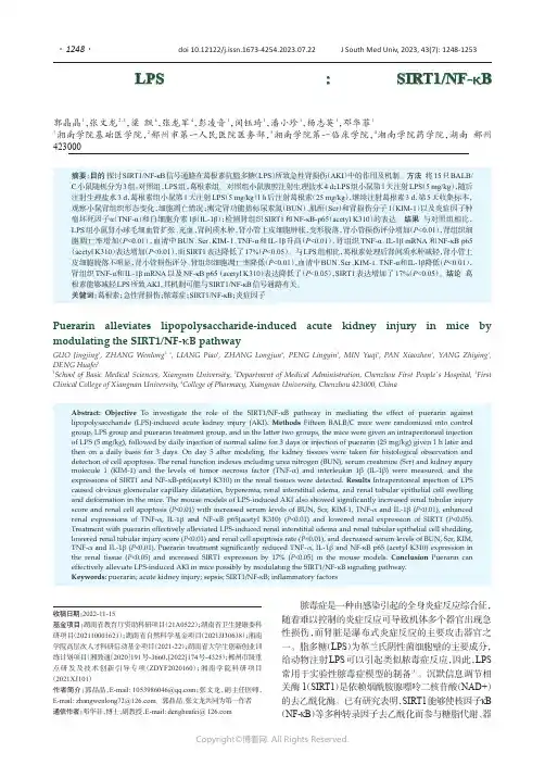 葛根素减轻LPS诱导的小鼠急性肾损伤