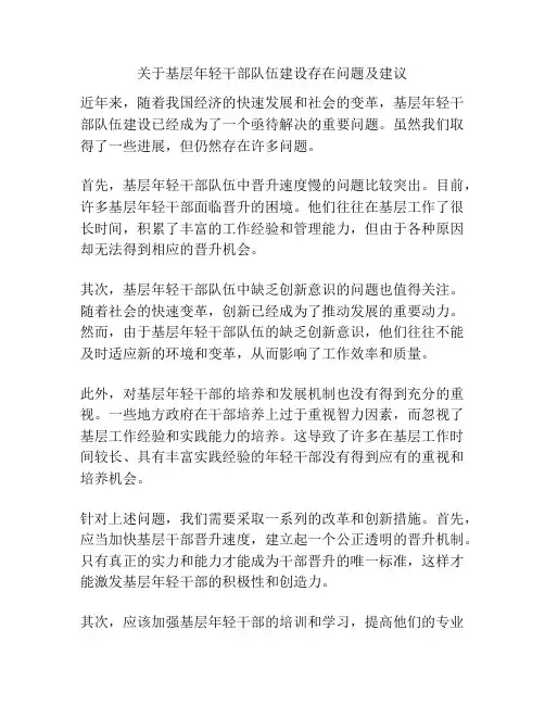 关于基层年轻干部队伍建设存在问题及建议