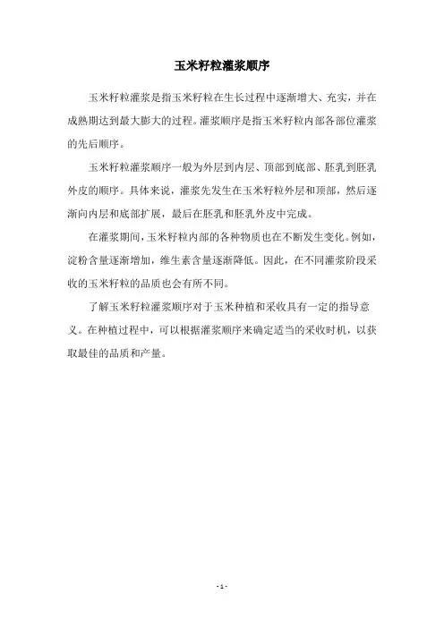 玉米籽粒灌浆顺序