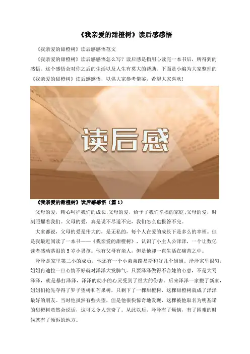 《我亲爱的甜橙树》读后感感悟