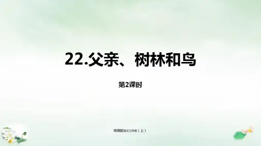 《父亲、树林和鸟》ppt完整版(共23页)