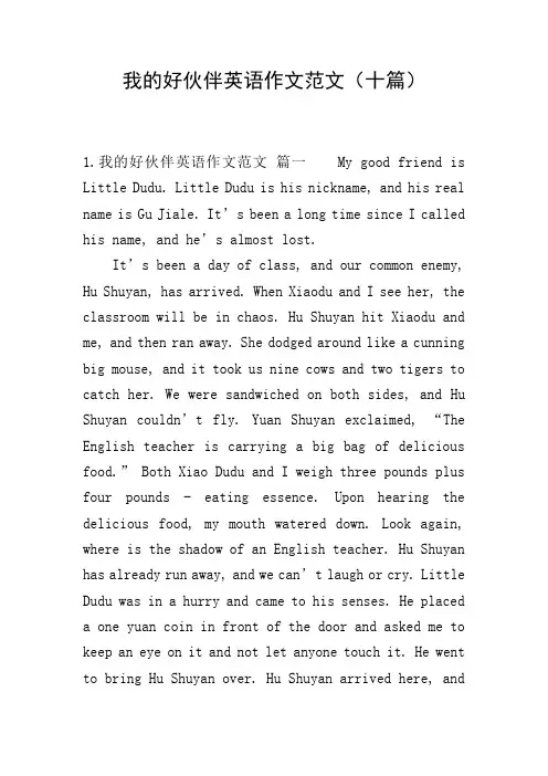 我的好伙伴英语作文范文(十篇)