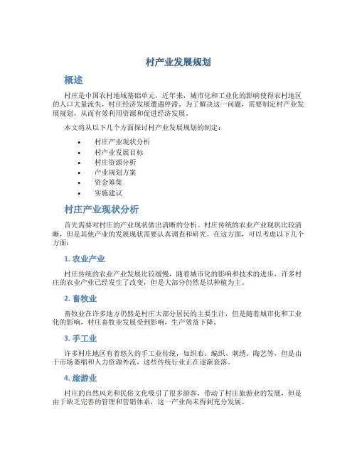 村产业发展规划