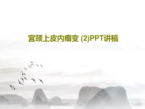 宫颈上皮内瘤变 (2)PPT讲稿共21页文档