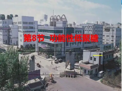 淀粉糖生产技术6-PPT文档资料