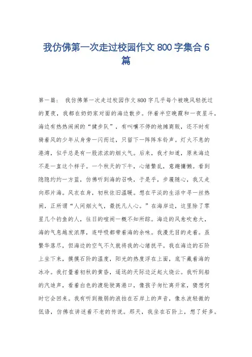 我仿佛第一次走过校园作文800字集合6篇