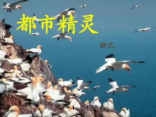 《都市精灵》ppt课件(10页)