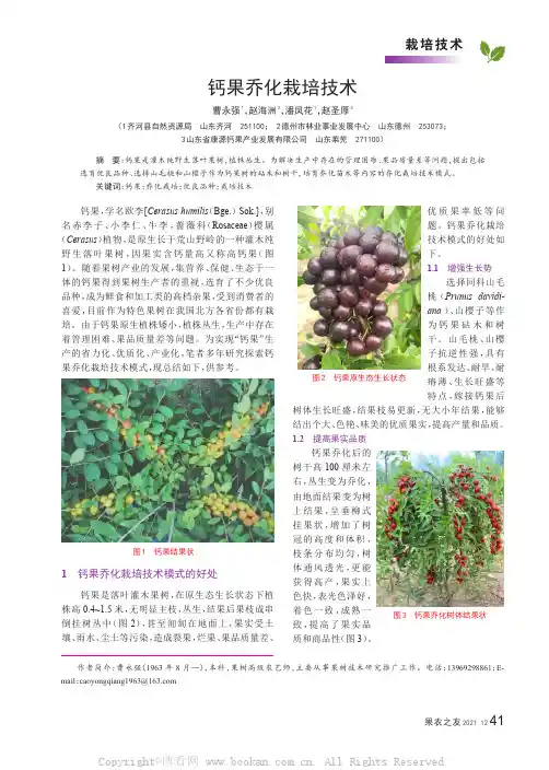 钙果乔化栽培技术