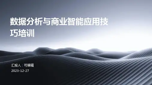 数据分析与商业智能应用技巧培训ppt