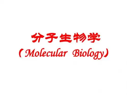 分子生物学绪论