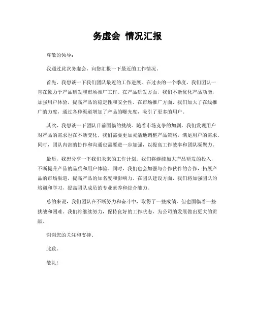 务虚会 情况汇报