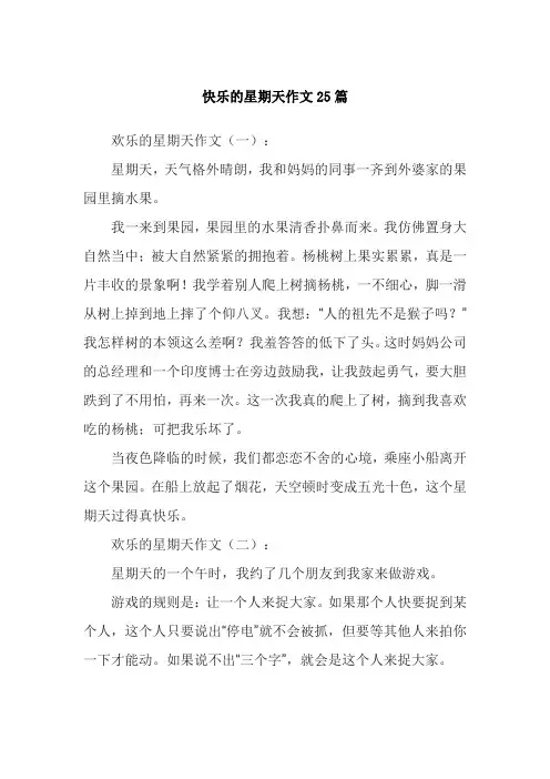 快乐的星期天作文25篇