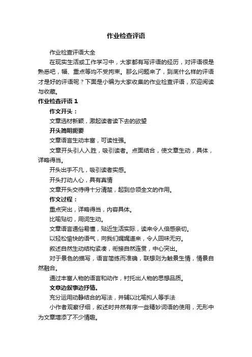 作业检查评语