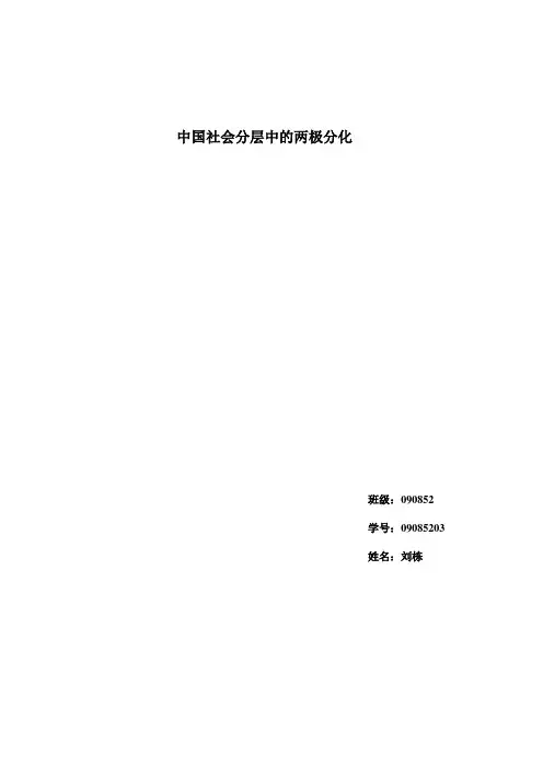 中国社会分层中的两极分化