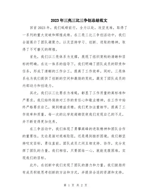 2023年三亮三比三争创总结范文