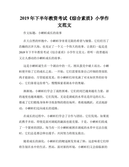 2019年下半年教资考试《综合素质》小学作文范文