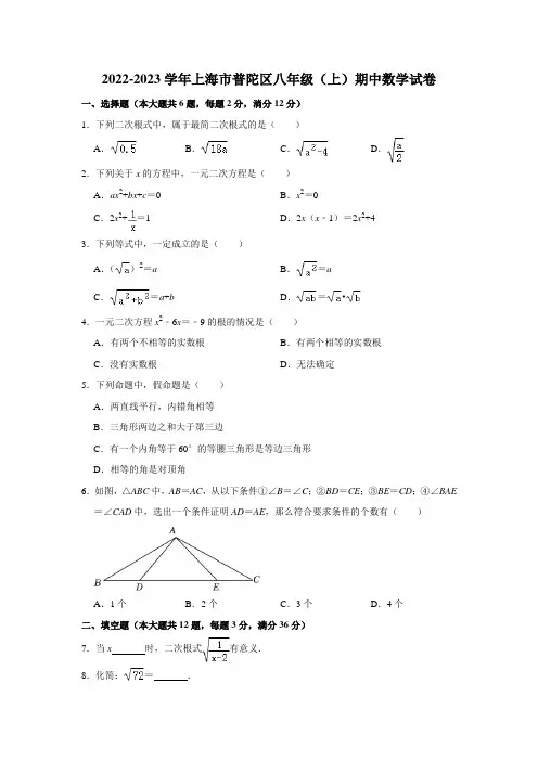 上海市普陀区2022-2023学年八年级上学期期中考试数学试卷(含答案)