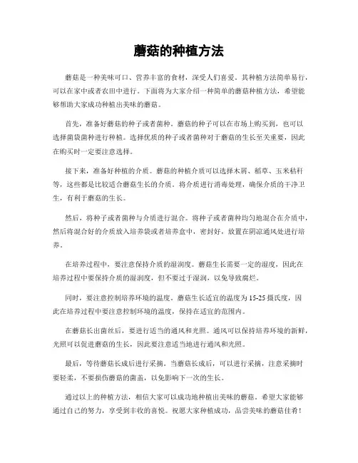 蘑菇的种植方法