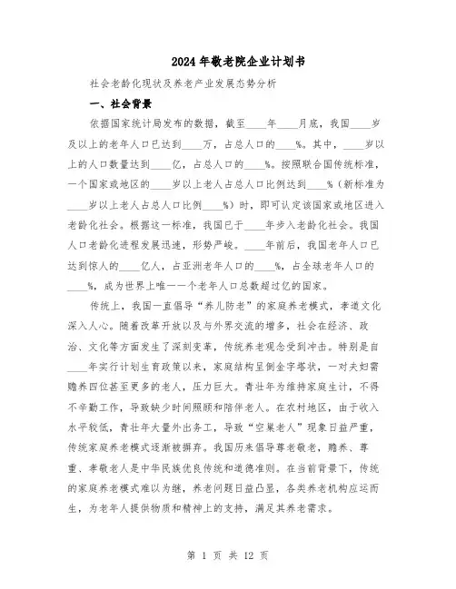 2024年敬老院企业计划书（三篇）