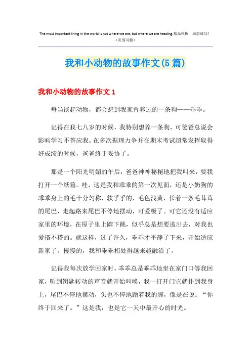 我和小动物的故事作文(5篇)