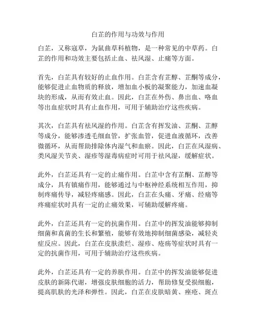 白芷的作用与功效与作用