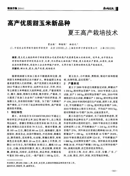 高产优质甜玉米新品种 夏王高产栽培技术