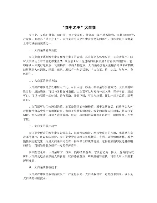 “菜中之王”大白菜