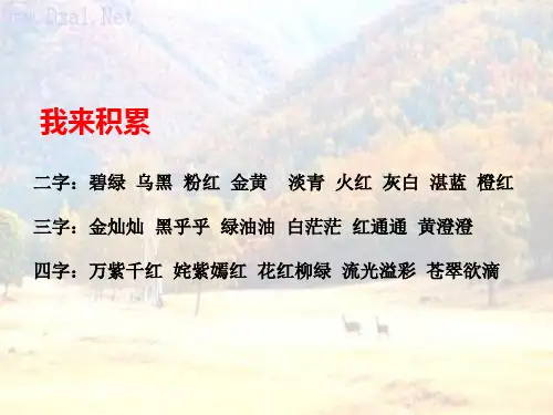 三年级语文上《选读课文3 五花山》146PPT课件 一等奖名师公开课比赛优质课评比试讲