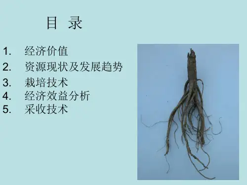 长白楤木栽培技术