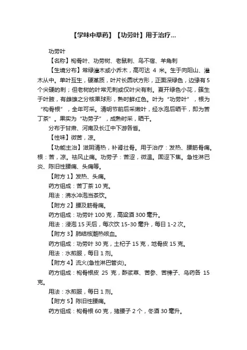 【学味中草药】【功劳叶】用于治疗...