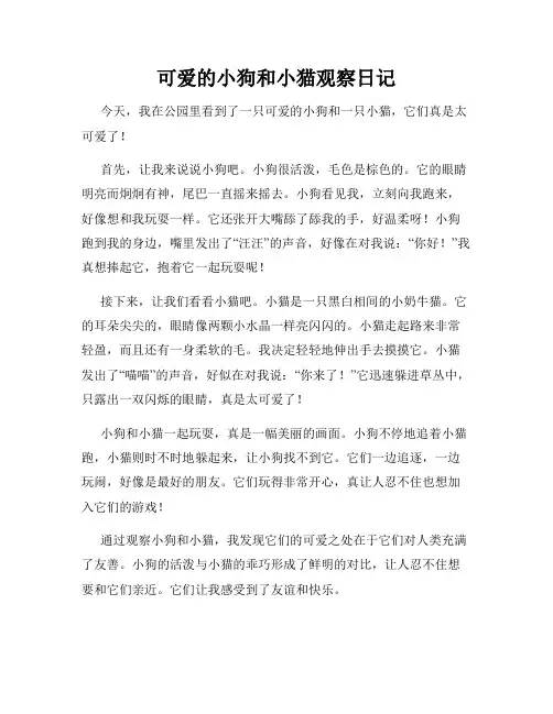  小学三年级作文可爱的小狗和小猫观察日记